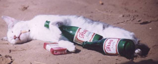 Zonyx Report Photo:  Drinking Man's Pet