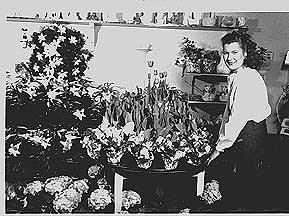 Zonyx Report Photo:  Marion Zetteler Witte Stephen in Witte's House of Flowers